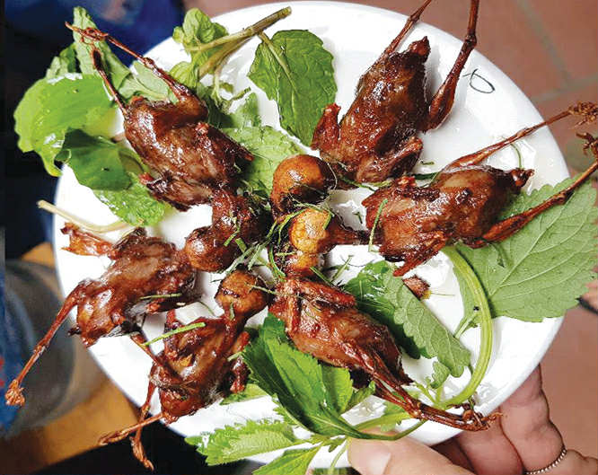 Chim Sẻ Nướng Lá Chanh – Đặc Sản Hấp Dẫn Tại Nhà Hàng Thứ Cò, Phủ Lý, Hà Nam
